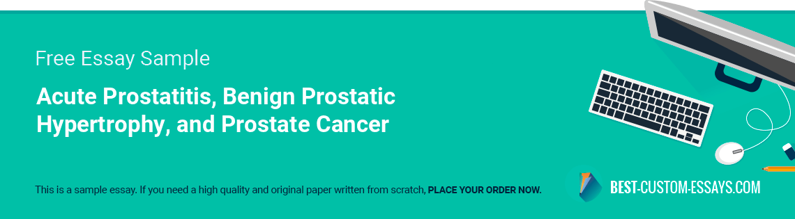 Free «Acute Prostatitis, Benign Prostatic Hypertrophy, and Prostate Cancer» Essay Sample
