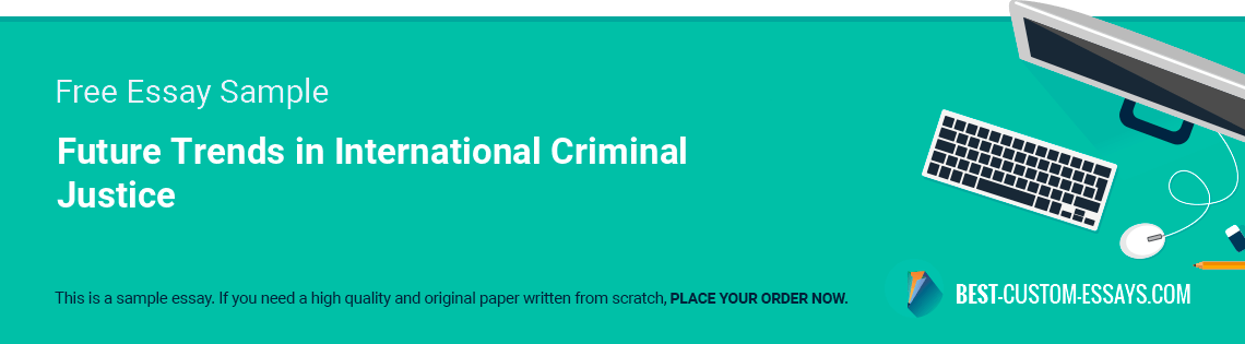 Free «Future Trends in International Criminal Justice» Essay Sample