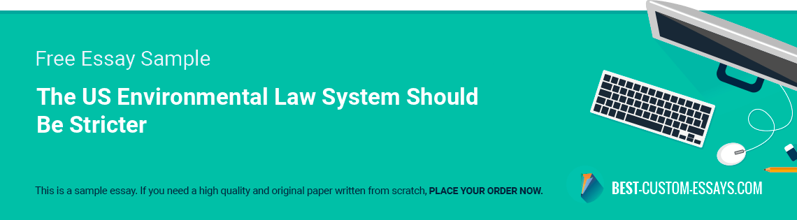 Free «The US Environmental Law System Should Be Stricter» Essay Sample